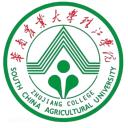 廣東外語(yǔ)外貿(mào)大學(xué)二隊(duì)